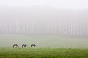 photo composition